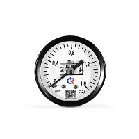 ТМ-110Т.00(0-25)MPa.G1/8".2,5 УТ000018579