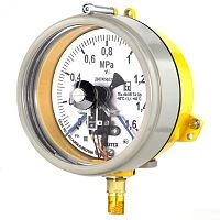 ДМ2005ф 6 МПа кл.1,5 исп IV IP53 РШ У2 ГП Пломба УТ000019014
