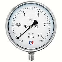 ТМ-621Р.00(0-25)MPa.М20х1,5.1,0  СИЛИКОН УТ000005448