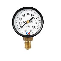 ТМ-210Р.00(0-0,6МРа)M12x1,5.2,5. С3Н8 УТ000004733