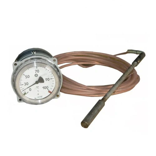 ТГП-100Эк-М1-(0...+300)°С-1,0-6-250 УТ000019842