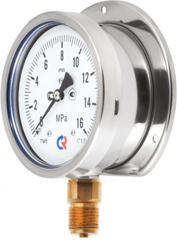 ТМ-520РКТ.00(0-6)MPa.G1/2".1,0 Зад. Фланец  ГЛИЦЕРИН УТ000014976