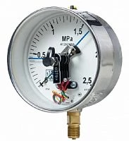 ДМ2005ф 25 МПа кл.1,5 исп IV IP54 SG УТ000008564